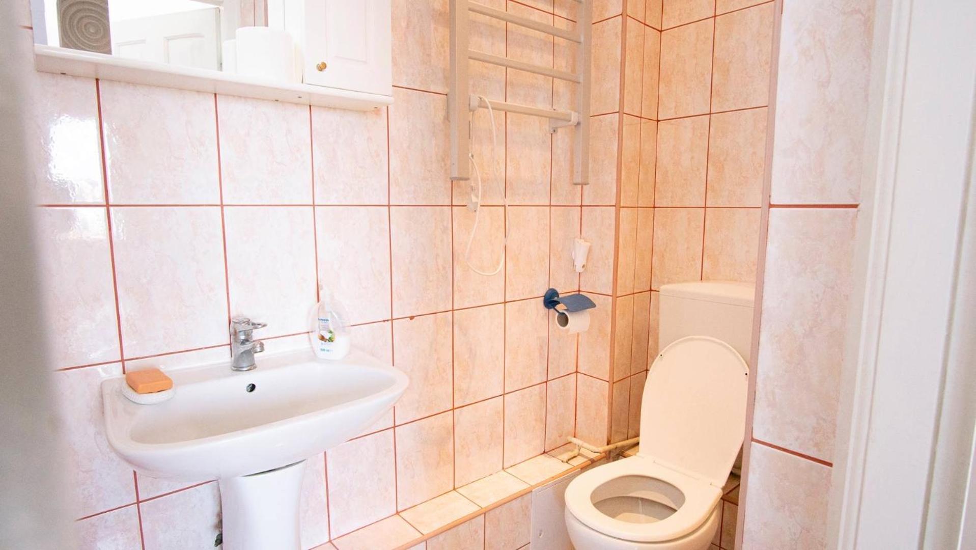 Piata Victoriei- 1 Room Apartment Timisoara Luaran gambar