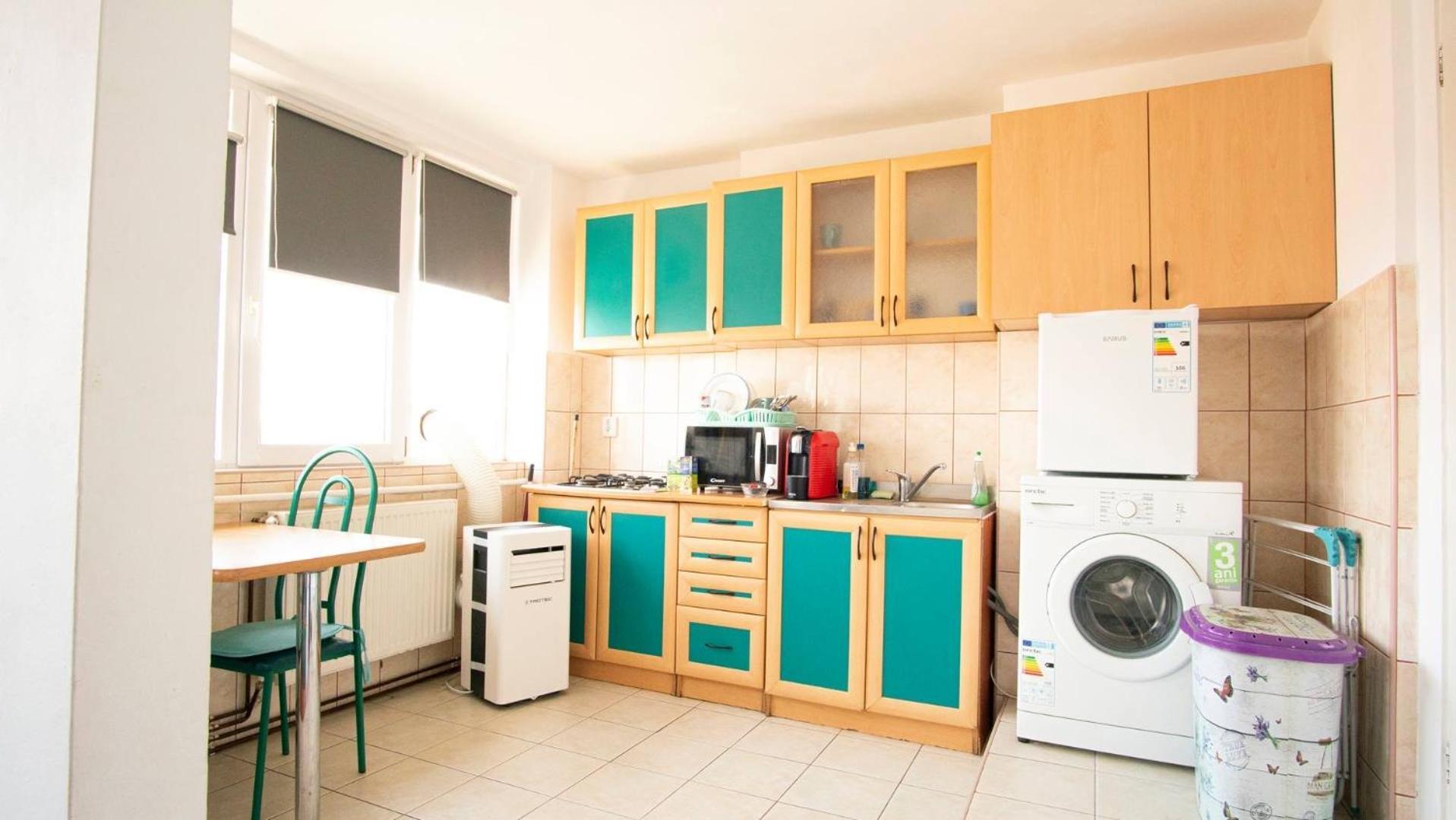 Piata Victoriei- 1 Room Apartment Timisoara Luaran gambar