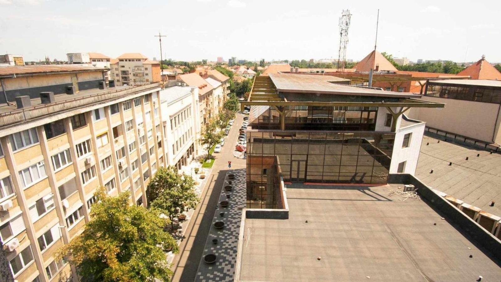 Piata Victoriei- 1 Room Apartment Timisoara Luaran gambar